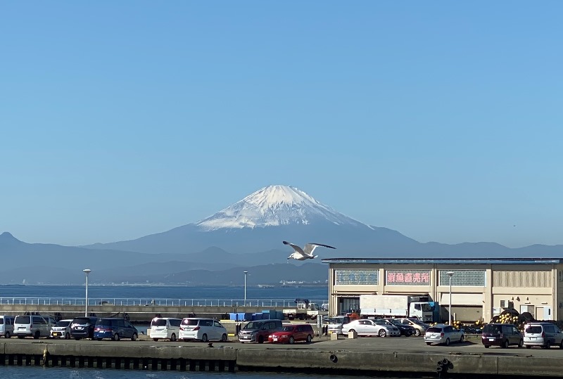➃富士山超見える_2